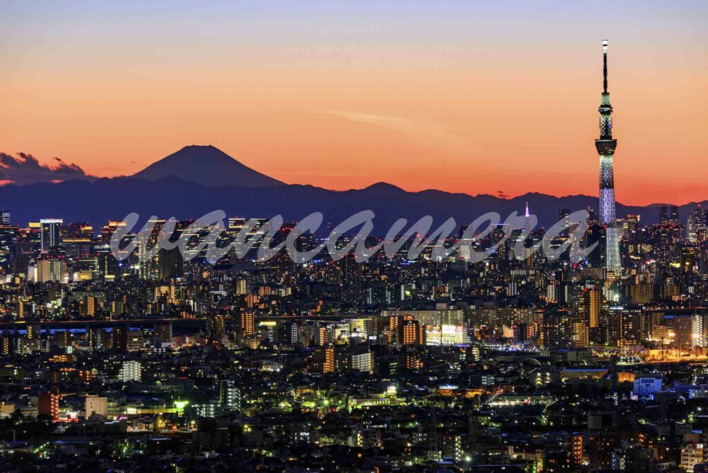 市川アイリンクタウン展望台　夜景
スカイツリーと富士山