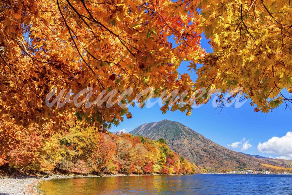 中禅寺湖と男体山の紅葉　日光