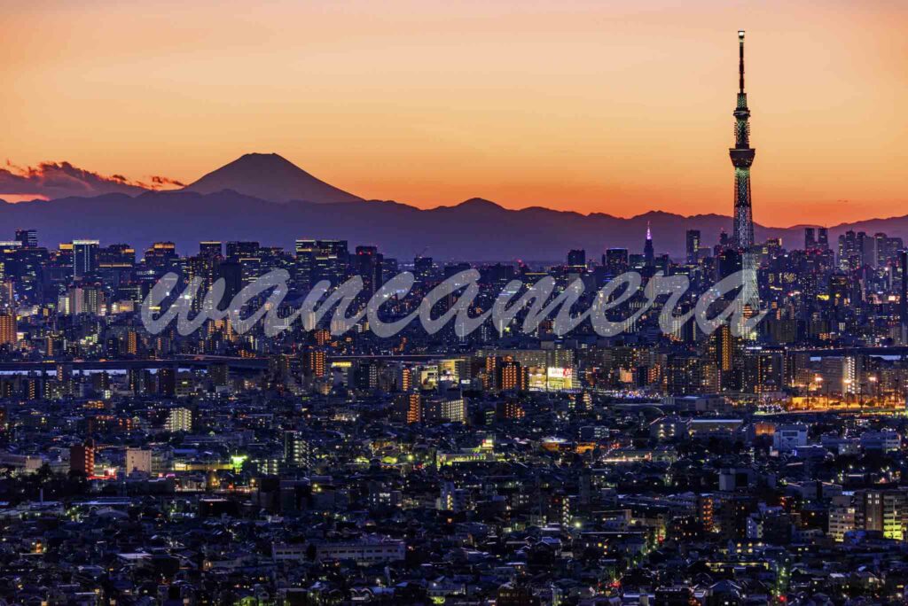 市川アイリンクタウン　スカイツリーと富士山の夜景