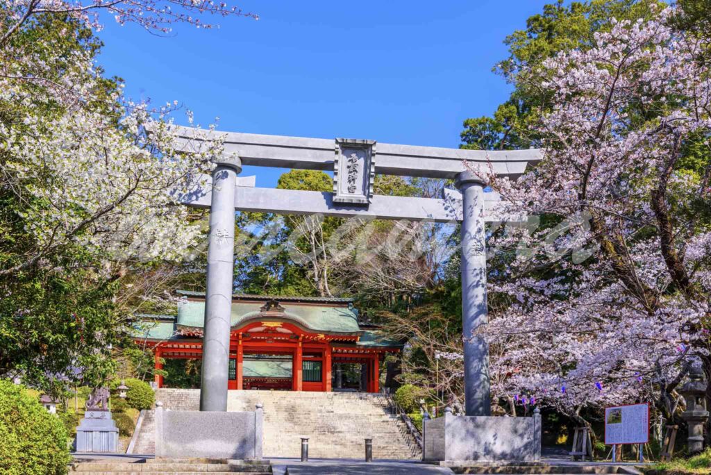 香取神宮と桜と鳥居