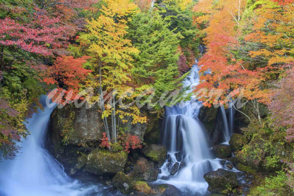 竜頭の滝の紅葉　日光