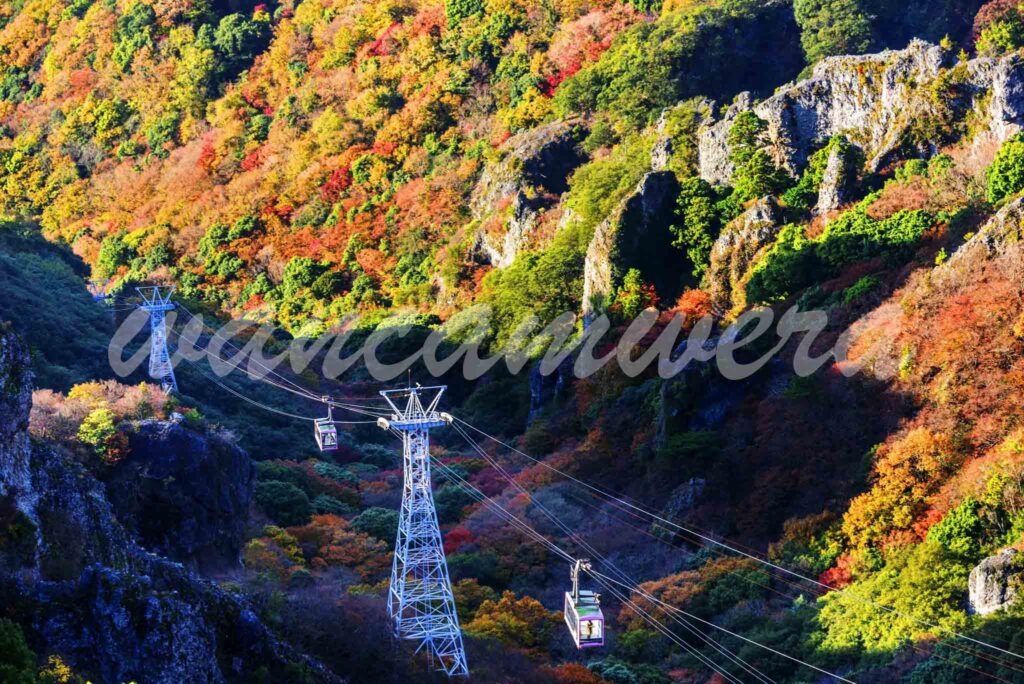 紅葉の寒霞渓　小豆島　ロープウェイ　寒霞渓第一展望台より