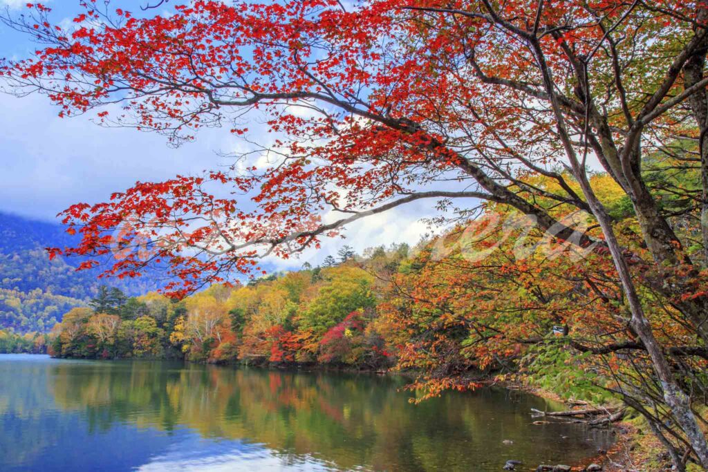 湯ノ湖の紅葉　日光