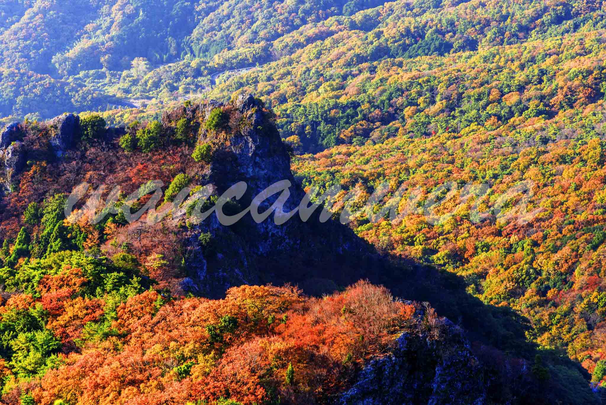 紅葉の寒霞渓　小豆島