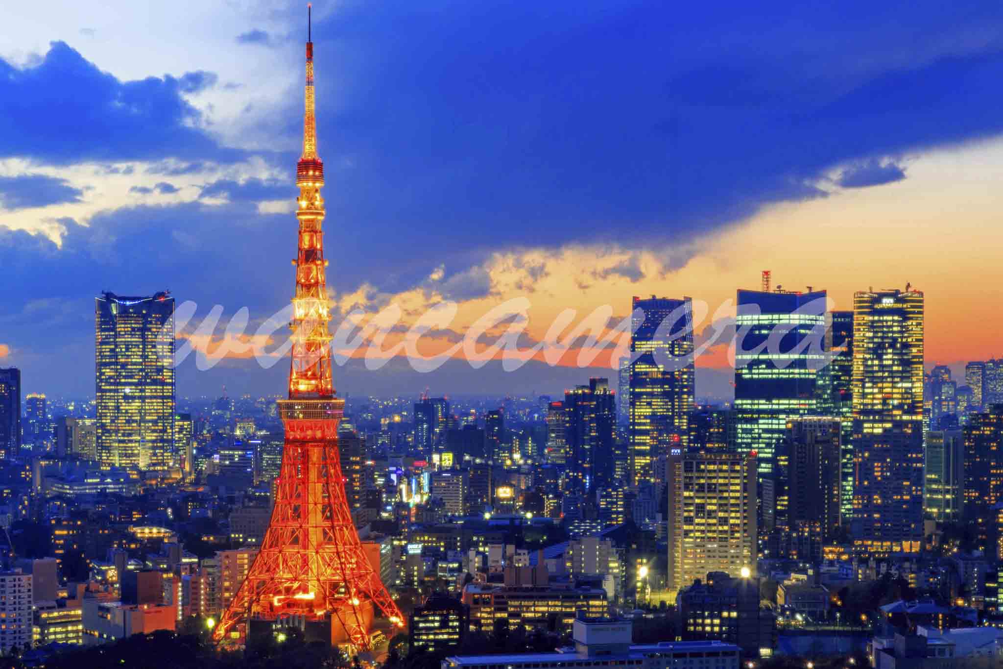 世界貿易センタービルより東京タワーと富士山