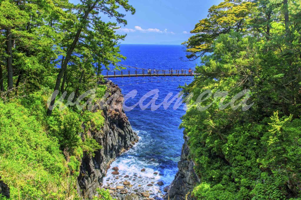 城ヶ崎海岸　門脇つり橋