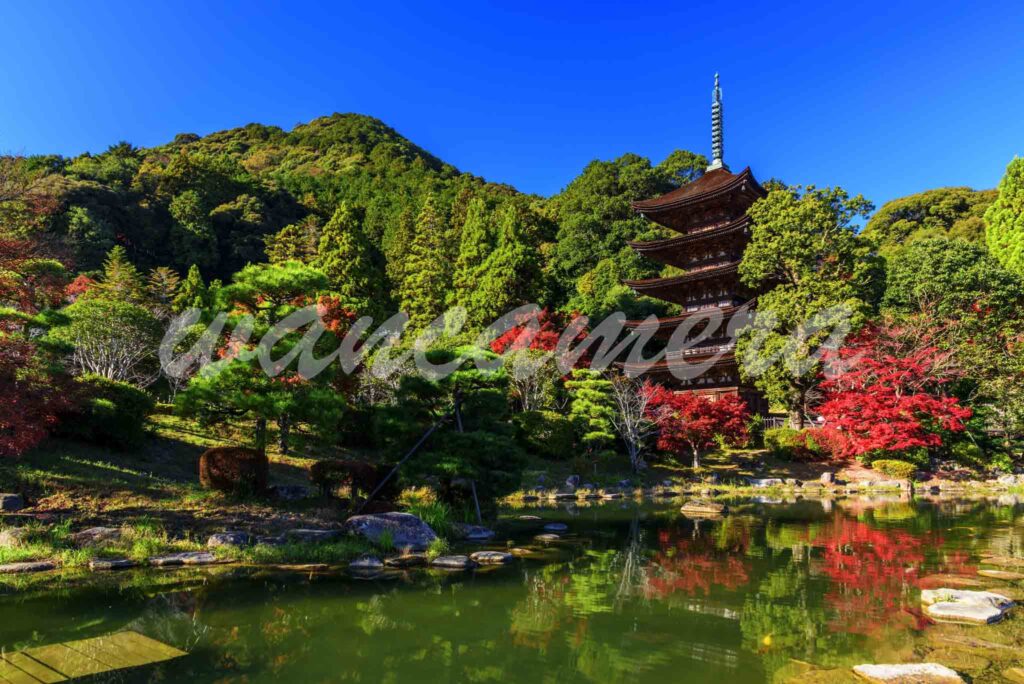 山口県　瑠璃光寺 五重塔　紅葉
