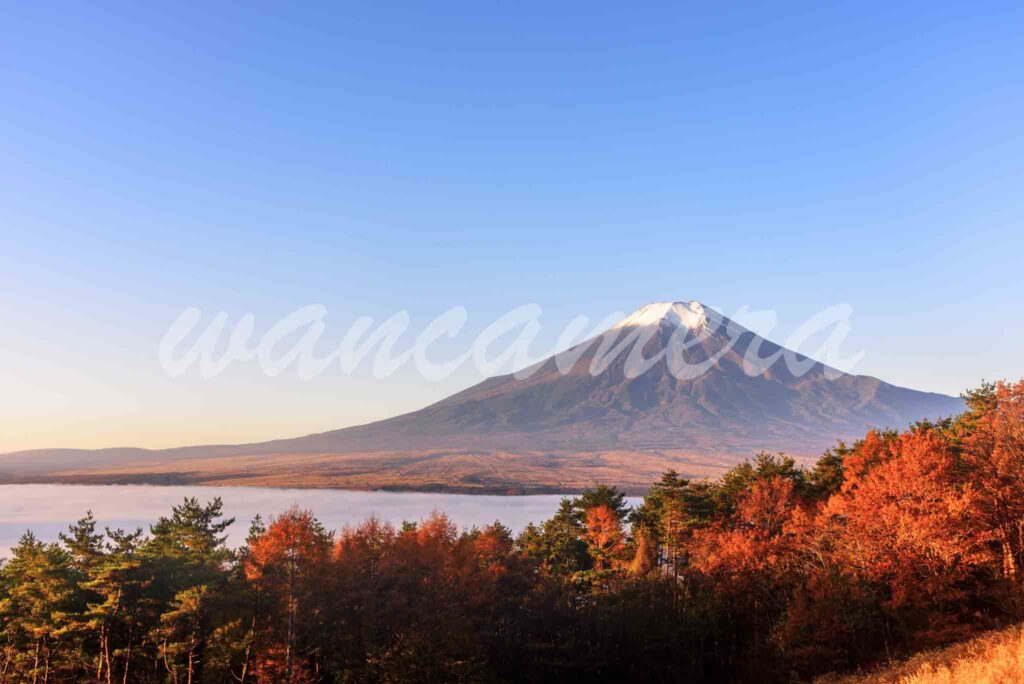 高座山×富士山　雲海