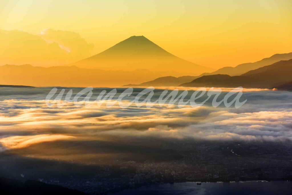 高ボッチ高原×富士山　雲海