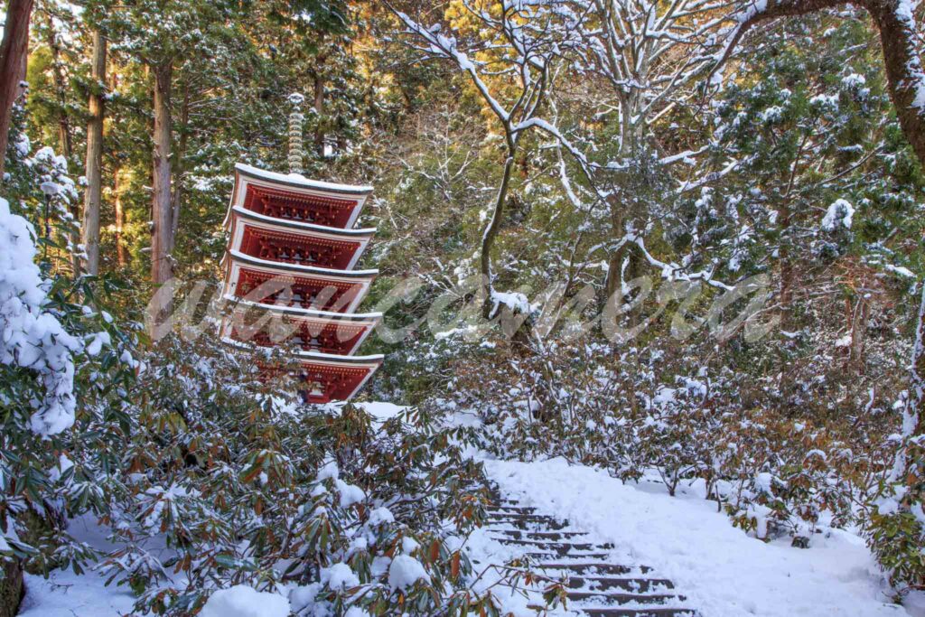 奈良県　室生寺 五重塔　雪の国宝