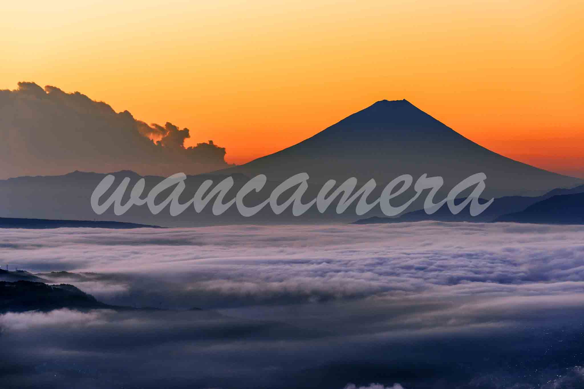 富士山と雲海 - 美術品/アンティーク