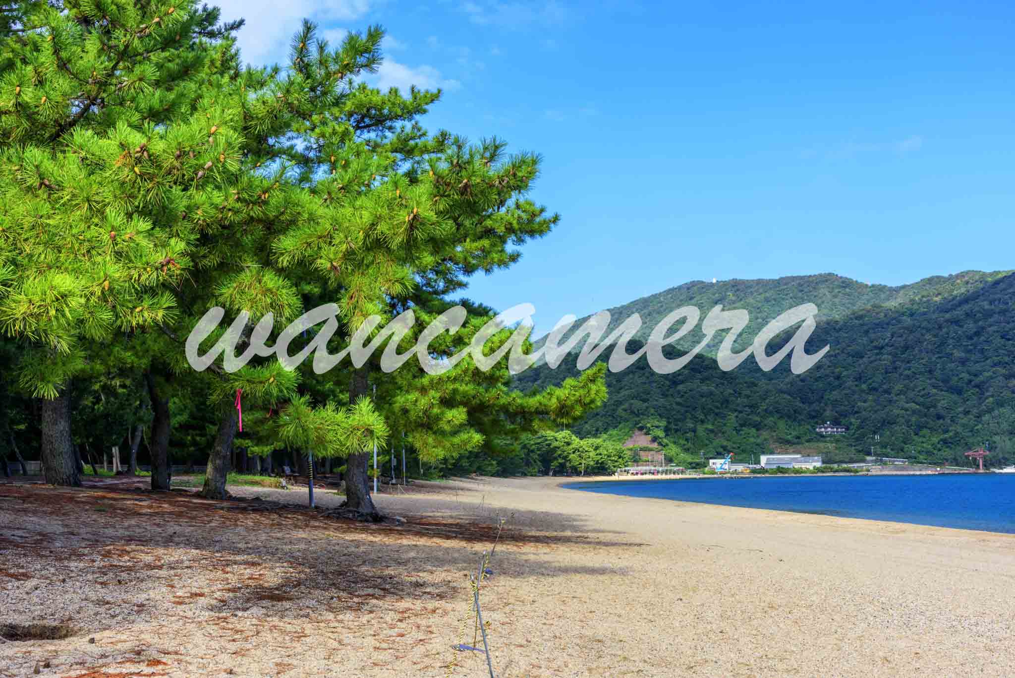 日本三大松原とは？アクセスや見所などを詳しく解説！ ワンカメラ