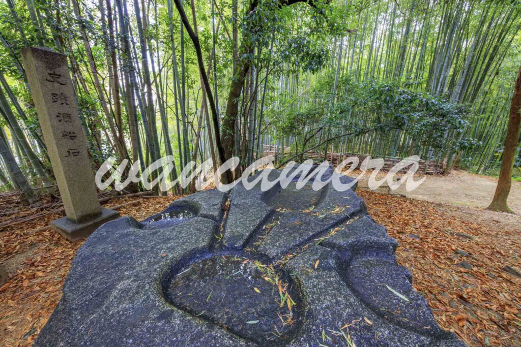 酒船石　酒船石遺跡　飛鳥・藤原の宮都